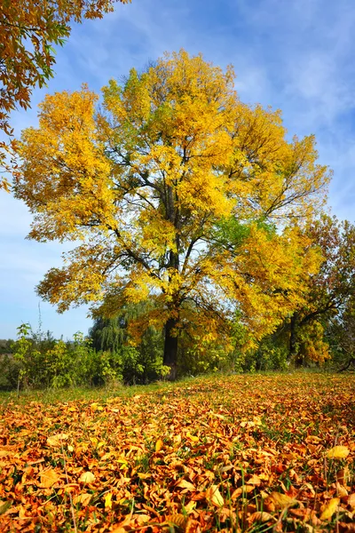 Herbstliche Landschaft — Stockfoto