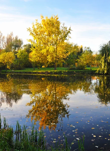 Gölü olan güzel sonbahar manzarası — Stok fotoğraf