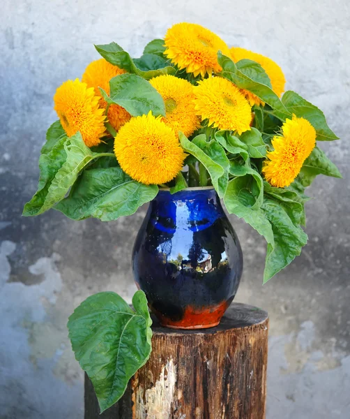 Dekorative Sonnenblumen in einer Keramik-Milchkanne — Stockfoto
