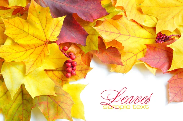 Border frame of colorful autumn leaves isolated on white — Stock Photo, Image