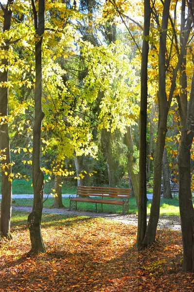 Bench in a beautiful autumn park — Stock Photo, Image