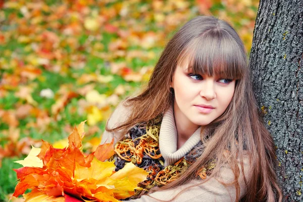 Portret van mooie jonge vrouw met herfst bladeren — Stockfoto
