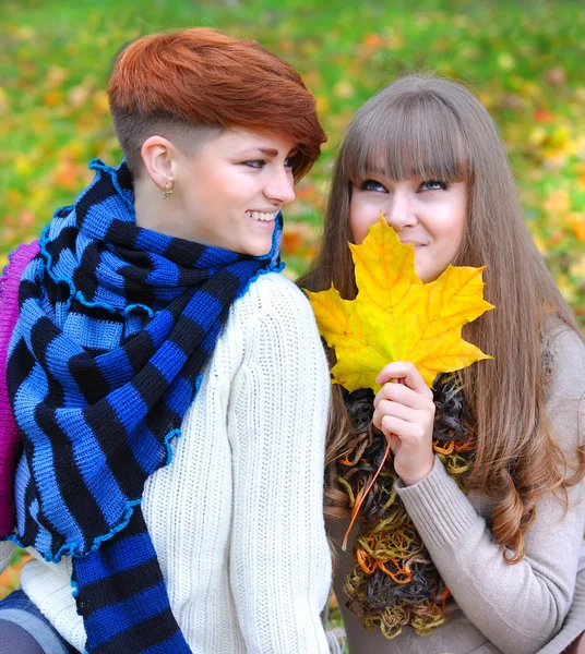 Young pretty girls laughing in the autumn park — Stock Photo, Image