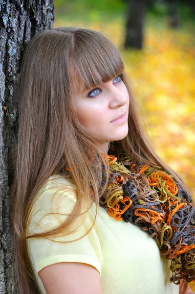 Een portret van jonge mooie vrouw is in een herfst park — Stockfoto