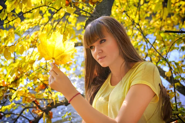 Hermosa joven sobre fondo de hojas de otoño —  Fotos de Stock