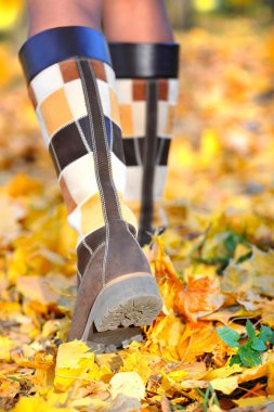 sonbahar yaprakları ile bir sokakta yürüyen kadın