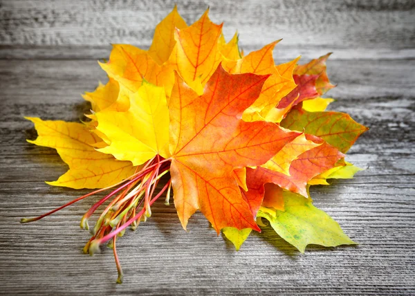 秋天的叶子在老木背景的花束 — 图库照片