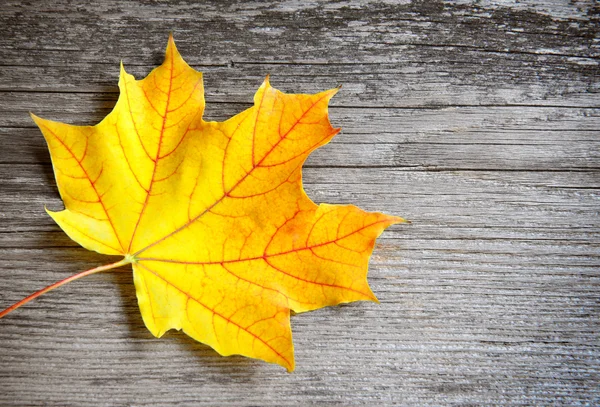 Foglia d'autunno su vecchio sfondo di legno. Con spazio di copia — Foto Stock