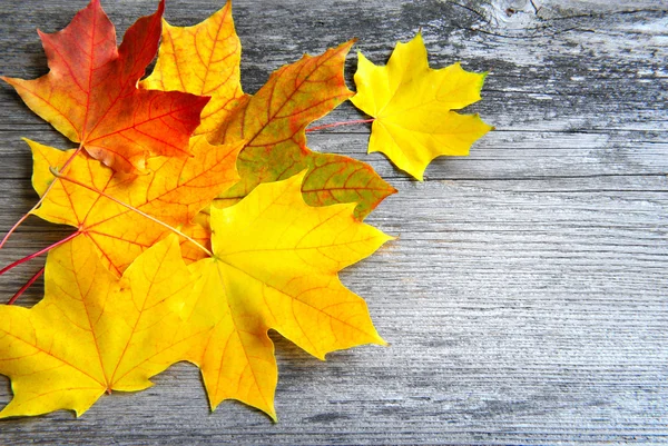 Herbstblätter über altem Holzgrund. mit Kopierraum — Stockfoto