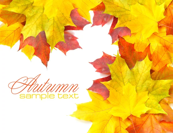 五彩缤纷的秋天的边框，叶子孤立在白色上 — 图库照片