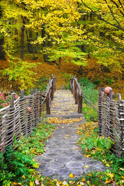 Ponte na floresta de outono brilhante. Composição natural — Fotografia de Stock