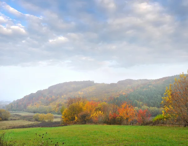 Paysage d'automne avec forêt colorée dans le brouillard — Photo