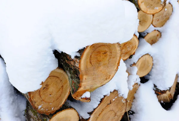 Snow covered woodpile close — Stock Photo, Image