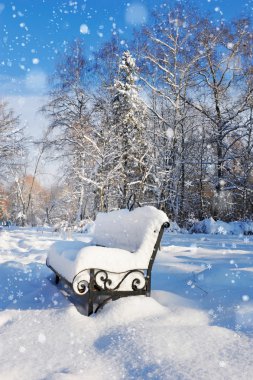 karla kaplı park Bench