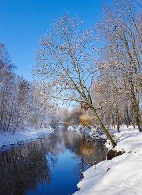 güzel kış manzara nehir ile