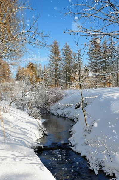 Vinterlandskap med floden i frostig dag — Stockfoto