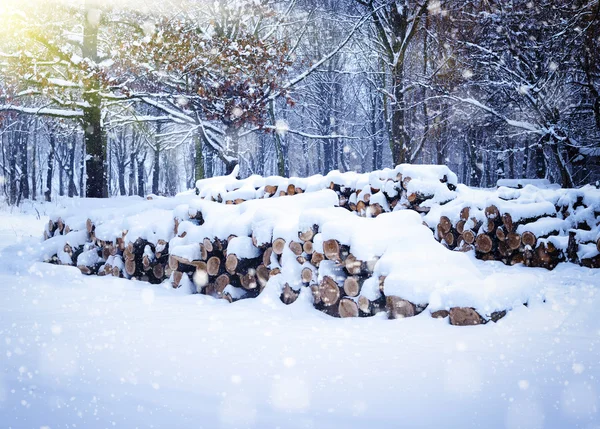 Winter landscape with firewoods covered snow — Stock Photo, Image