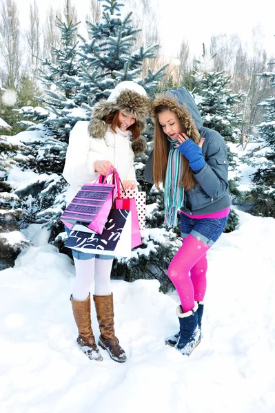 Beautiful happy girls with shopping bags in a winter park — Stock Photo, Image