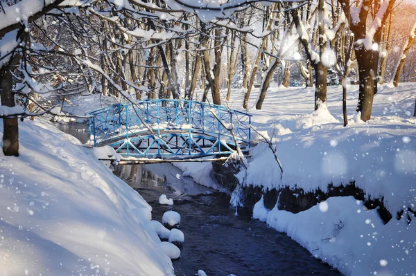 美丽的冬天风景与河 — 图库照片