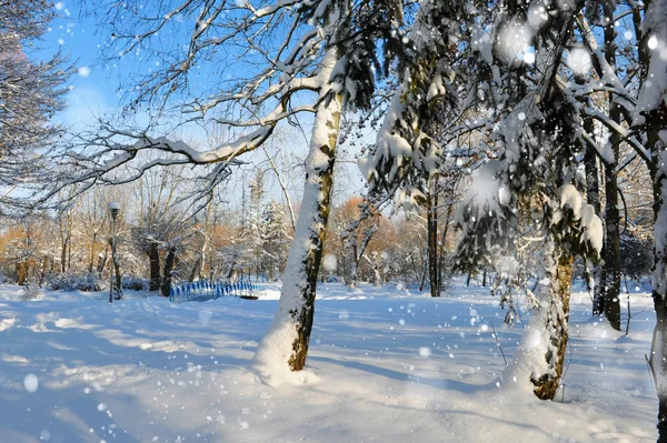 Prachtig winterlandschap — Stockfoto