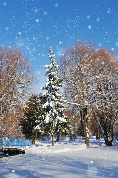 Schöne Winterlandschaft — Stockfoto