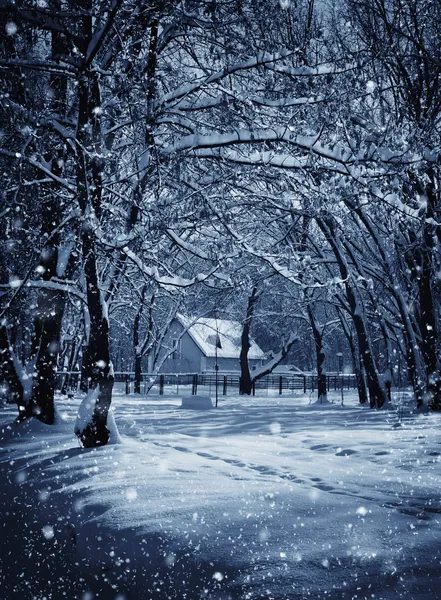 Kış ormanda ayaz moonlight gece siper al.