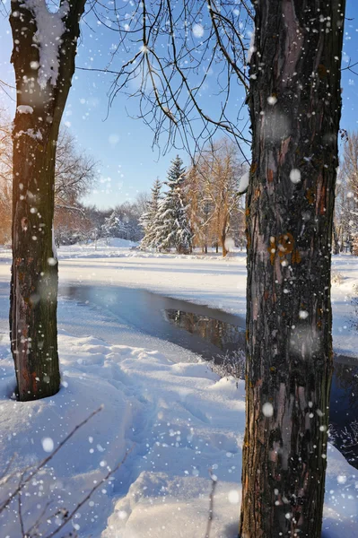 Soğuk bir günde nehirle birlikte kış manzarası — Stok fotoğraf