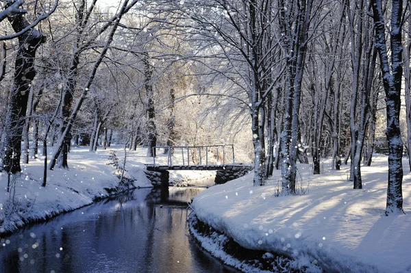 Beautiful winter landscape with the river — Stock Photo, Image