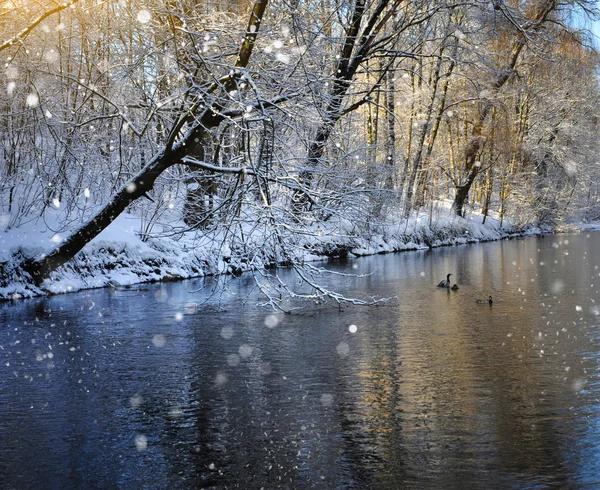 Beautiful winter landscape with the lake — Stock Photo, Image