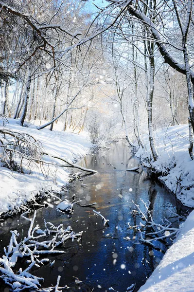 Hermoso paisaje de invierno con el río —  Fotos de Stock