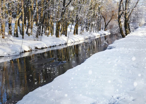 Bellissimo paesaggio invernale con il fiume — Foto Stock