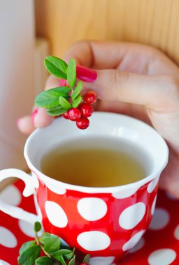 Fuska (Vaccinium vitis-idaea) çay kadın elinde