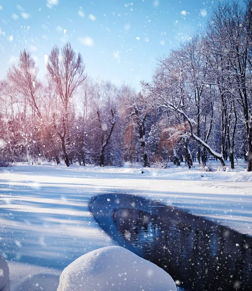 Zimowy krajobraz w mroźny dzień — Zdjęcie stockowe