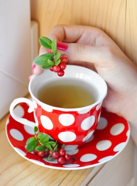 Fuska (Vaccinium vitis-idaea) çay kadın elinde