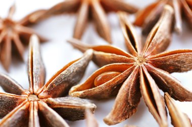 yıldız anason yakın çekim