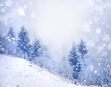 Karla kaplı ağaçlarla kaplı güzel kış manzarası