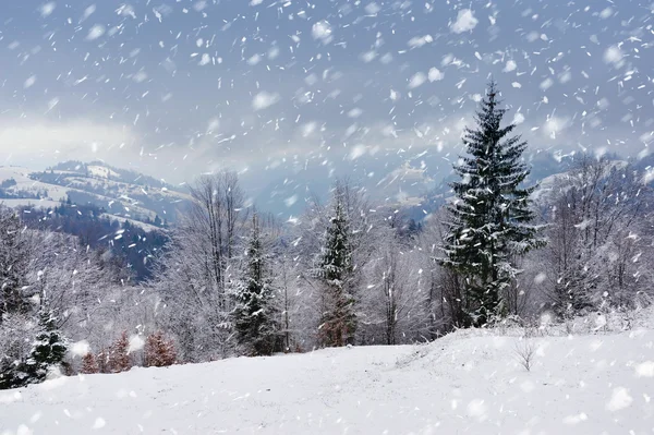 Prachtig winterlandschap met besneeuwde bomen — Stockfoto