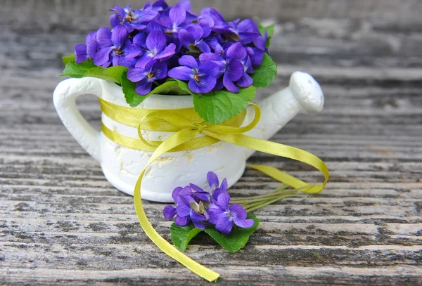 Kwiaty fioletowe drewna (Viola odorata) — Zdjęcie stockowe