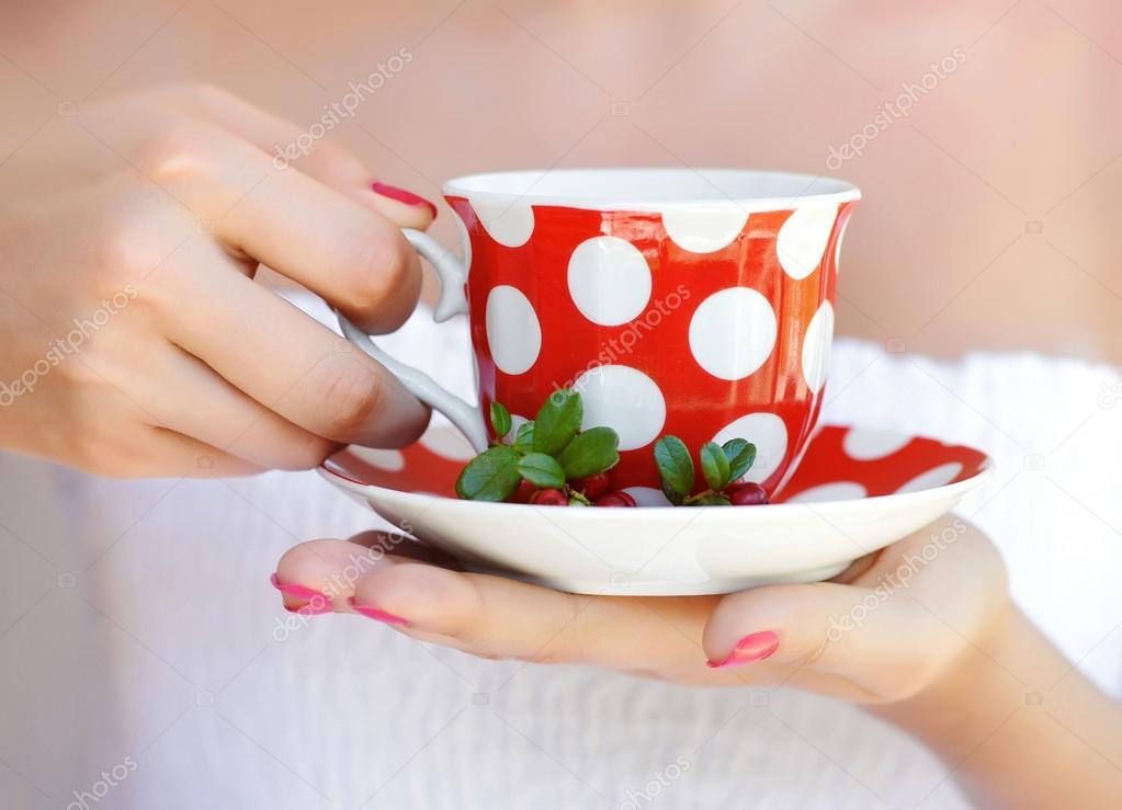 Cowberry (Vaccinium vitis-idaea) tea in woman hands