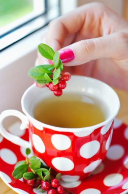 Fuska (Vaccinium vitis-idaea) çay kadın elinde