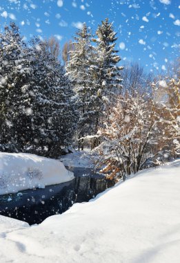 güzel kış manzara nehir ile