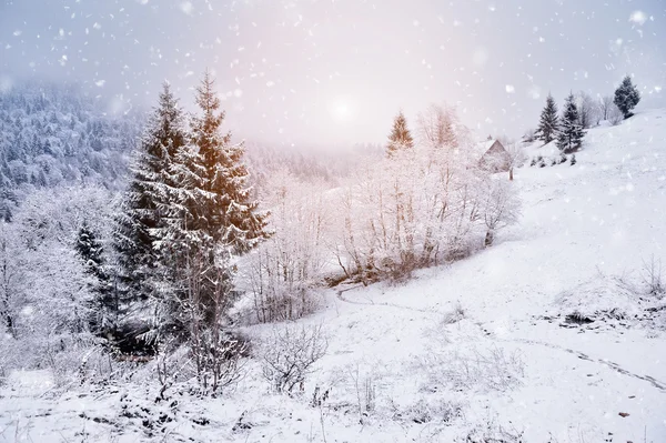 雪に覆われた木々の美しい冬の風景 — ストック写真