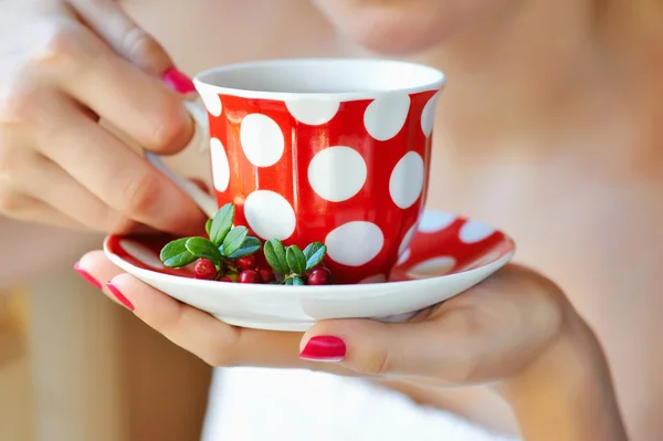 Preiselbeertee (vaccinium vitis-idaea) in Frauenhänden — Stockfoto