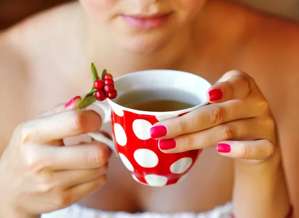 Moje (Vaccinium vitis-idaea) herbaty w ręce kobiety — Zdjęcie stockowe