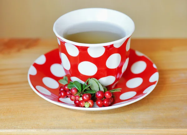 Tè di Cowberry (Vaccinium vitis-idaea) — Foto Stock