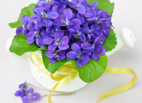Drewno fioletowe kwiaty (Viola odorata) na worze — Zdjęcie stockowe