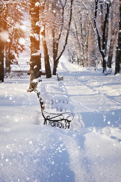 Panchina nel parco coperta di neve — Foto Stock