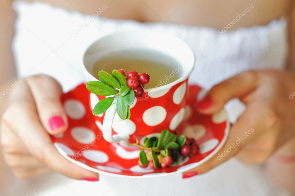 Cowberry (Vaccinium vitis-idaea) tea in woman hands