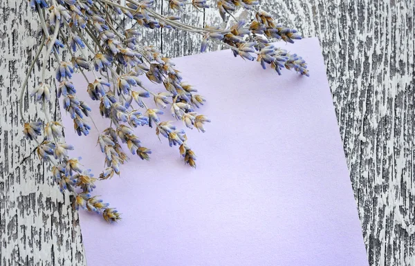 Květy sušené levandule a prázdné prázdný papír na dřevěné pozadí — Stock fotografie