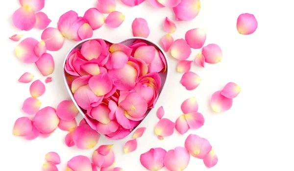 Heart-shaped Gift Box with pink petals on white background — Stock Photo, Image